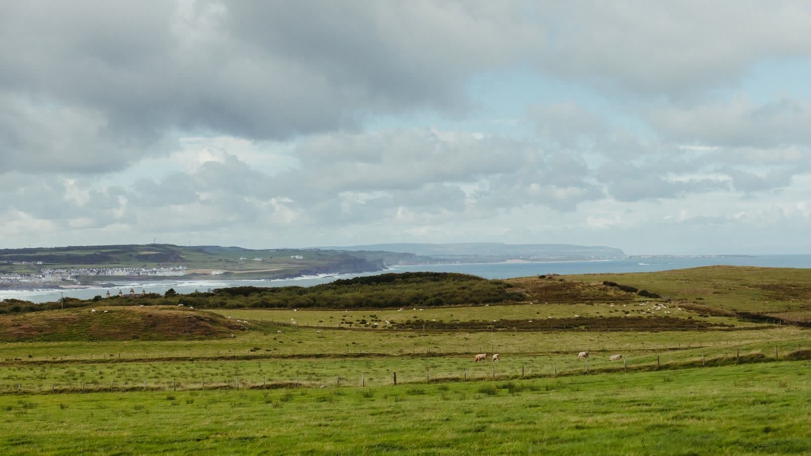 Claim your Irish citizenship by descent